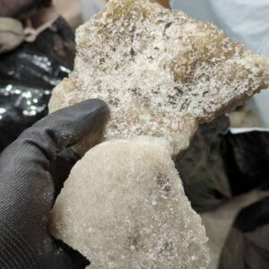MDMA – Champagne